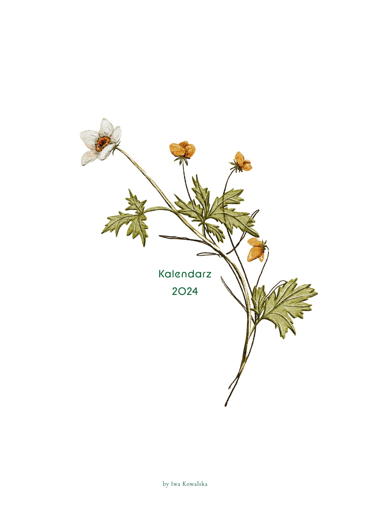 Kalendarz 2024 - Ilustrowany - eBook